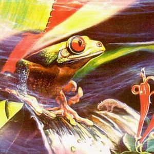 Jurassic Frog 20 Limited Edition Lithographs